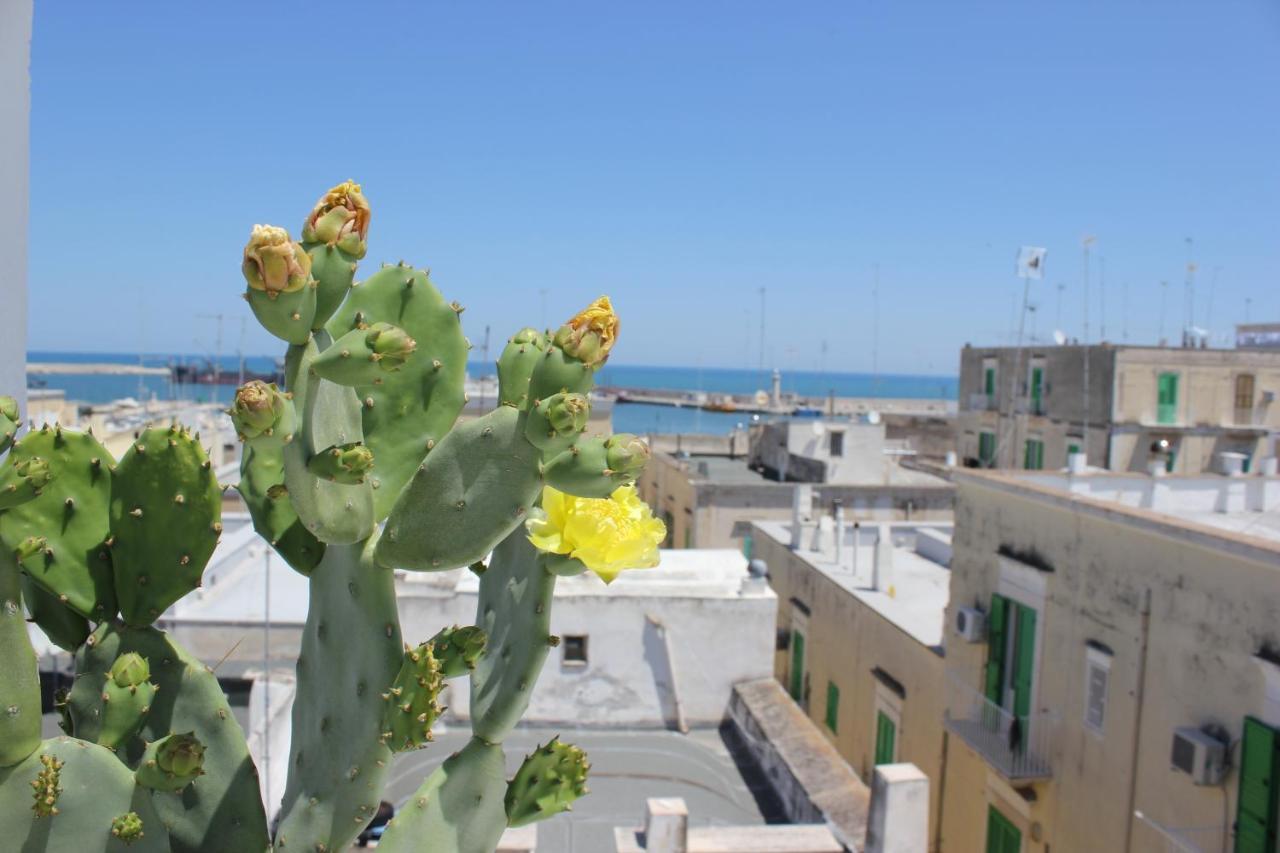 Appartement Vistafaro55 à Molfetta Extérieur photo